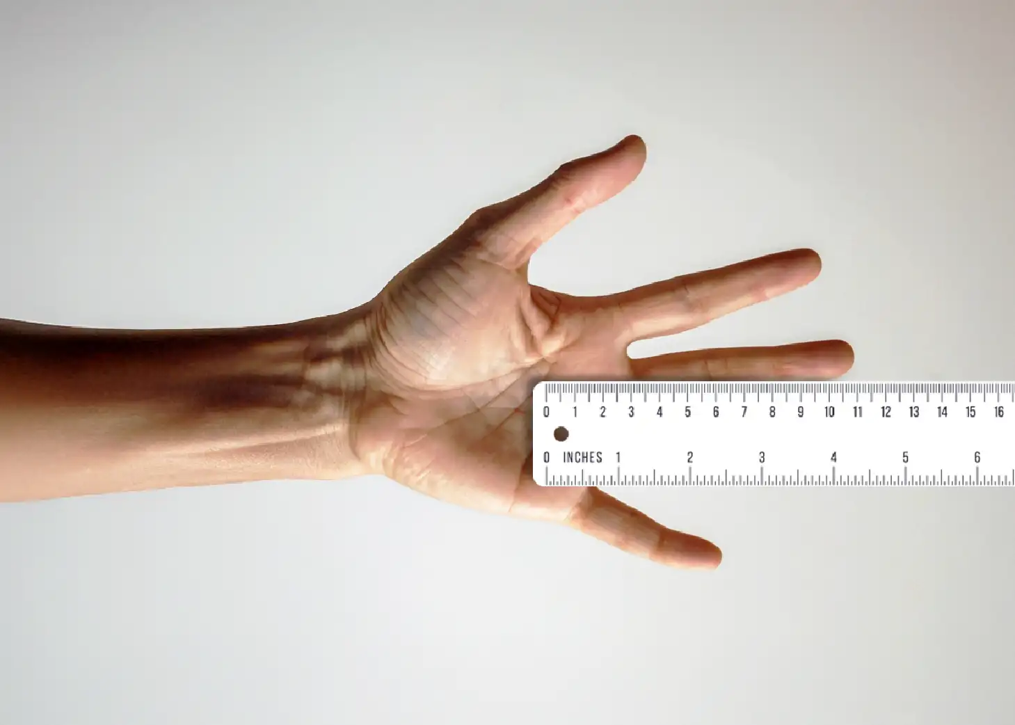 Mano.Regla Mano Regla